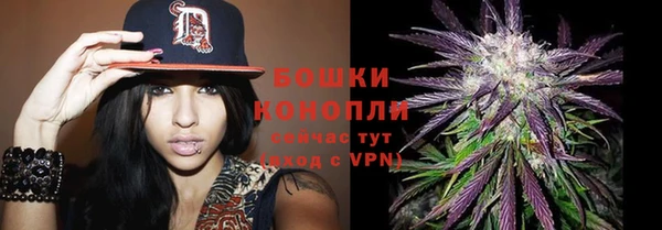 сатива Иноземцево