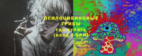 гидра Балабаново