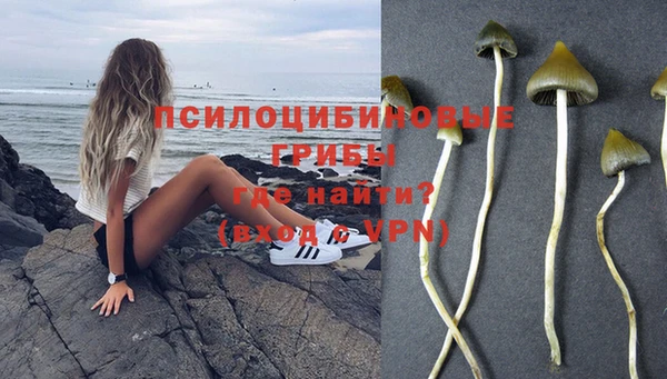 МДПВ Балахна